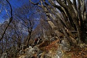Alla croce del Monte Ocone (1363 m) dalla Forcella Alta il 20 febbraio 2016 - FOTOGALLERY